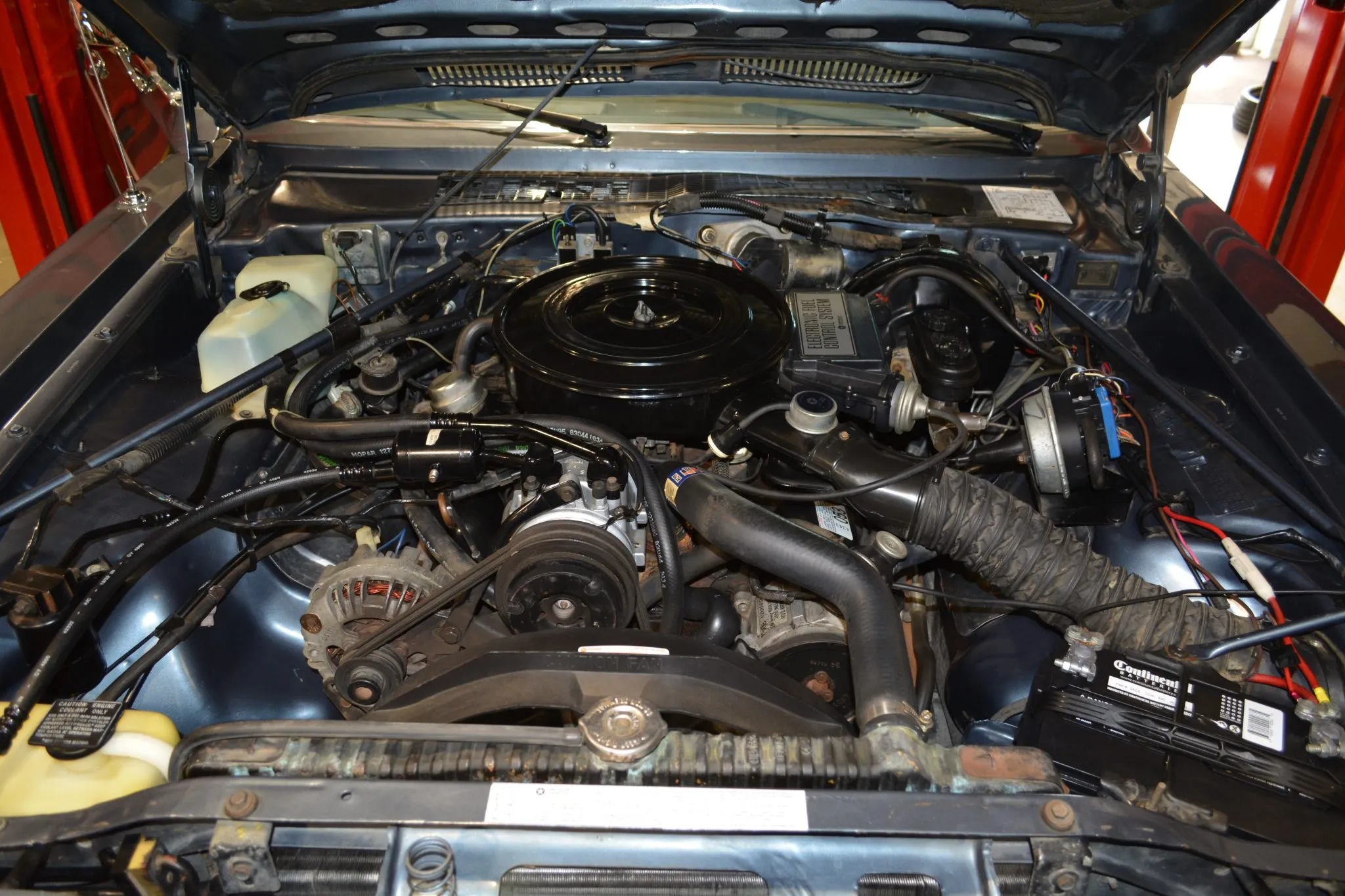 1985 Dodge Diplomat SE, photo 14 of 16