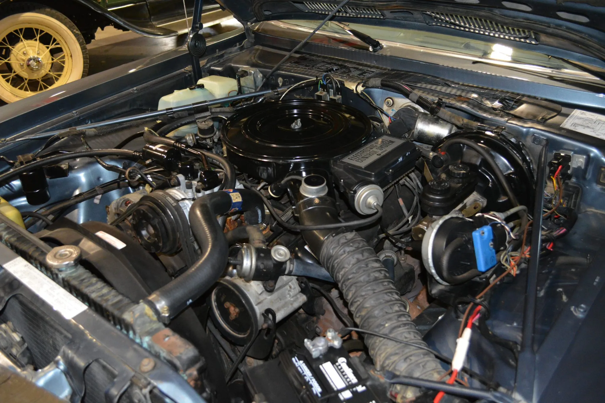 1985 Dodge Diplomat SE, photo 15 of 16