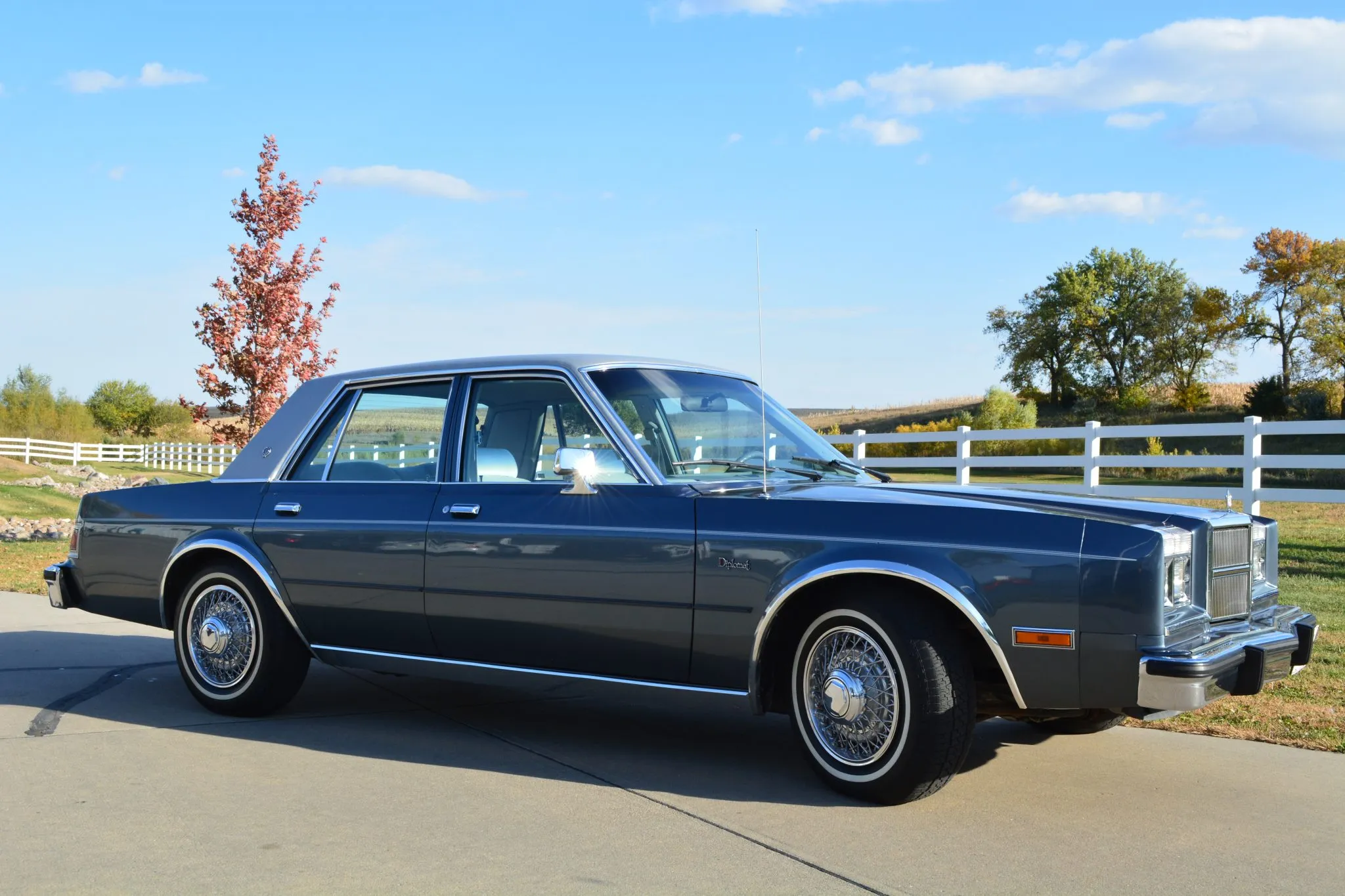 1985 Dodge Diplomat SE, photo 7 of 16
